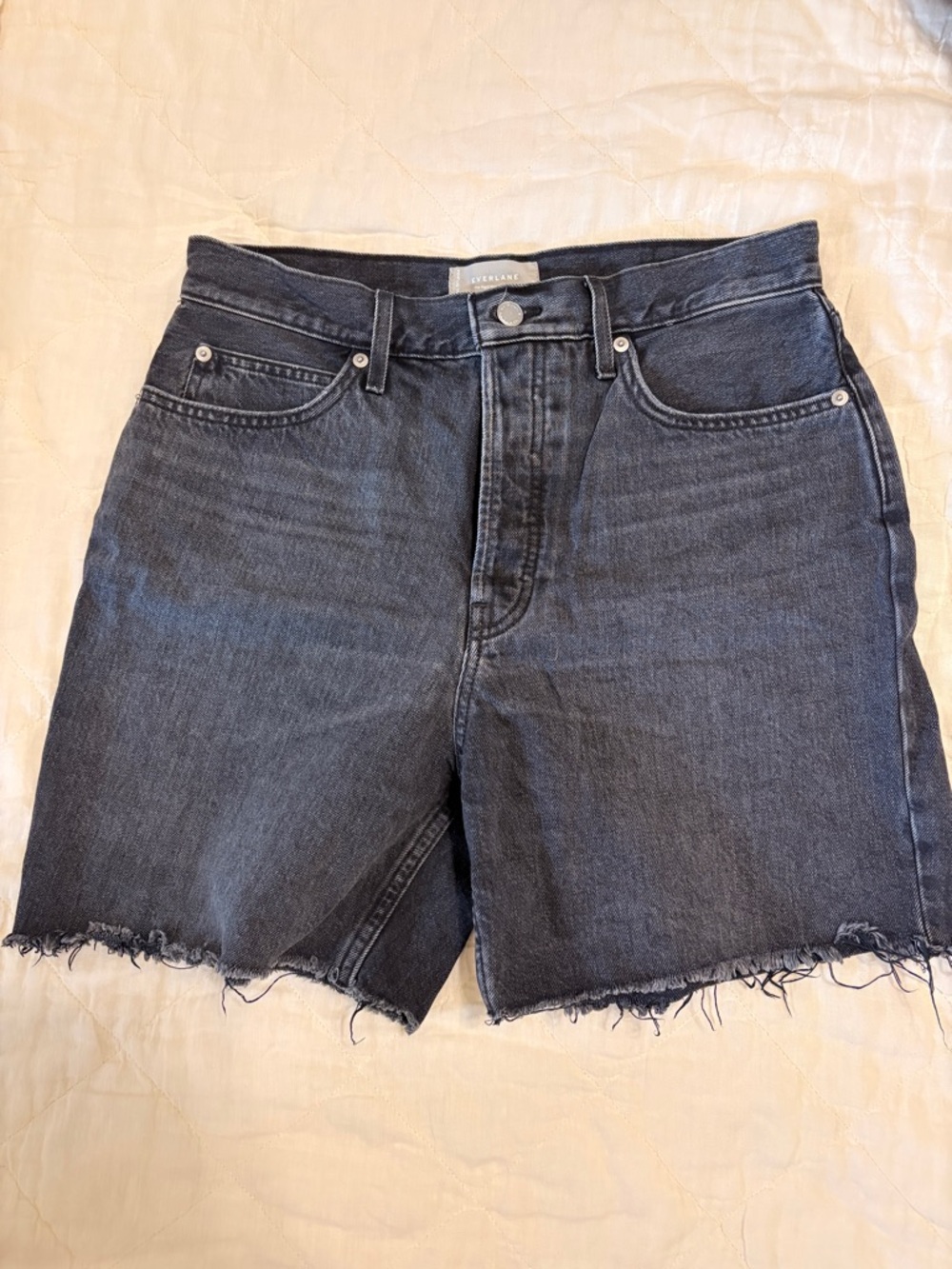Everlane Rigid Way-High Denim Shorts